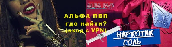молекула духа Покров