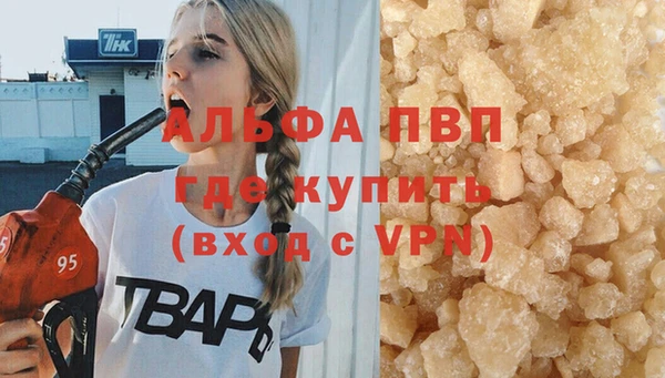 молекула духа Покров