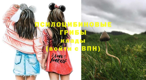 таблы Покачи