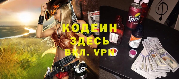 молекула духа Покров