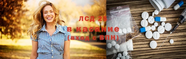 молекула духа Покров