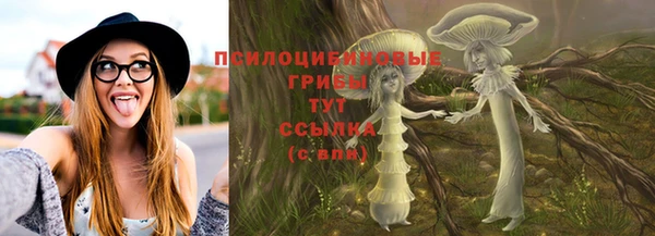 молекула духа Покров