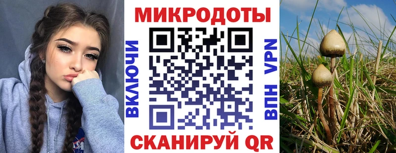 Купить где  Сольцы  Псилоцибиновые грибы прущие грибы 